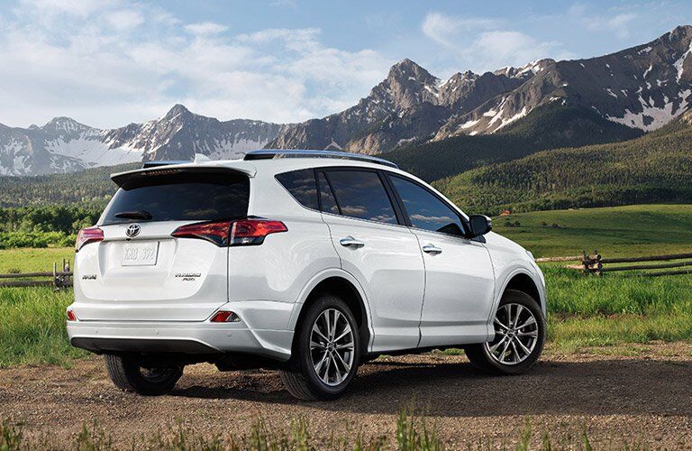 2017 Toyota RAV4 Bumper View