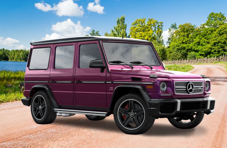 2018 Mercedes-Benz G-Class in plum