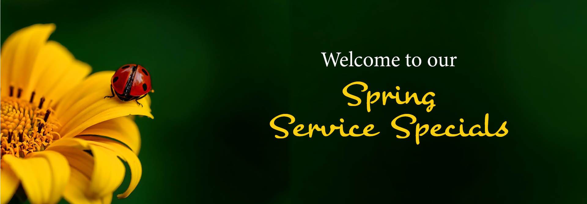 Spring Service Specials Spring Service Specials