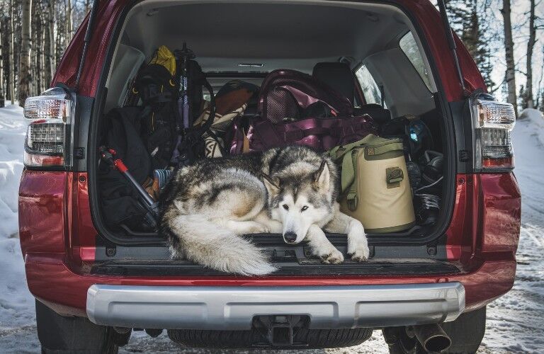 2021 Toyota 4Runner red open back with husky