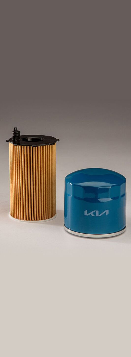 Genuine Kia Filter and Oil Change