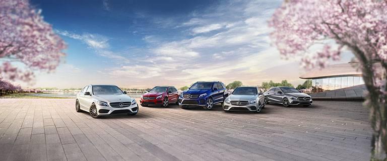Today S Dealer Specials