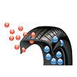 $10.00 off Nitrofill $10.00 off Nitrofill