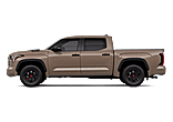 Tundra