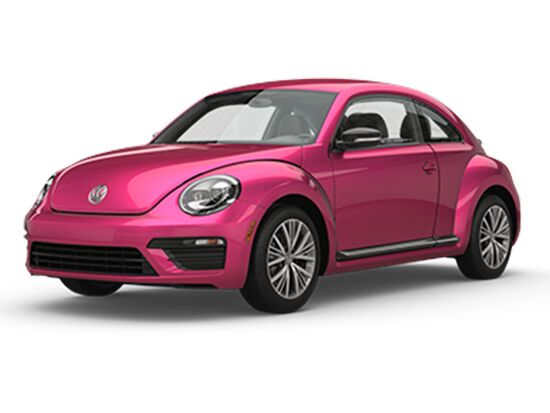 Beetle #PinkBeetle Beetle #PinkBeetle
