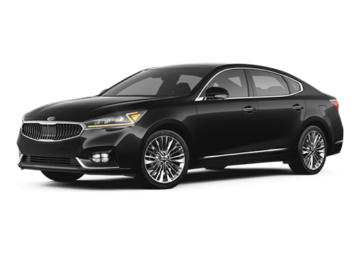 Cadenza Limited Cadenza Limited