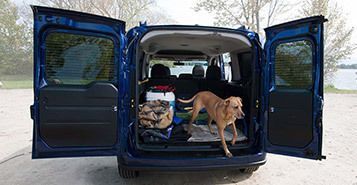 60/40 Split Rear Doors 60/40 Split Rear Doors