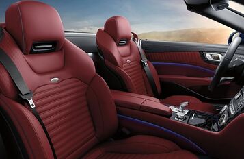 Iconic Interior Luxury Iconic Interior Luxury