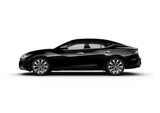 2019 Maxima Platinum 2019 Maxima Platinum
