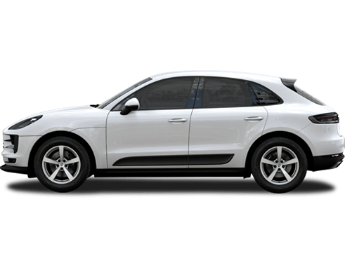 Macan Macan Macan Macan