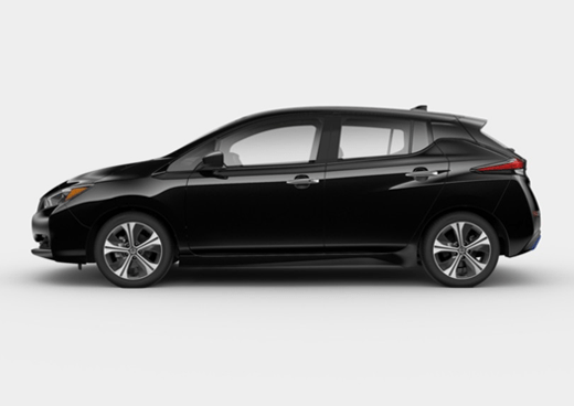 LEAF SV LEAF SV