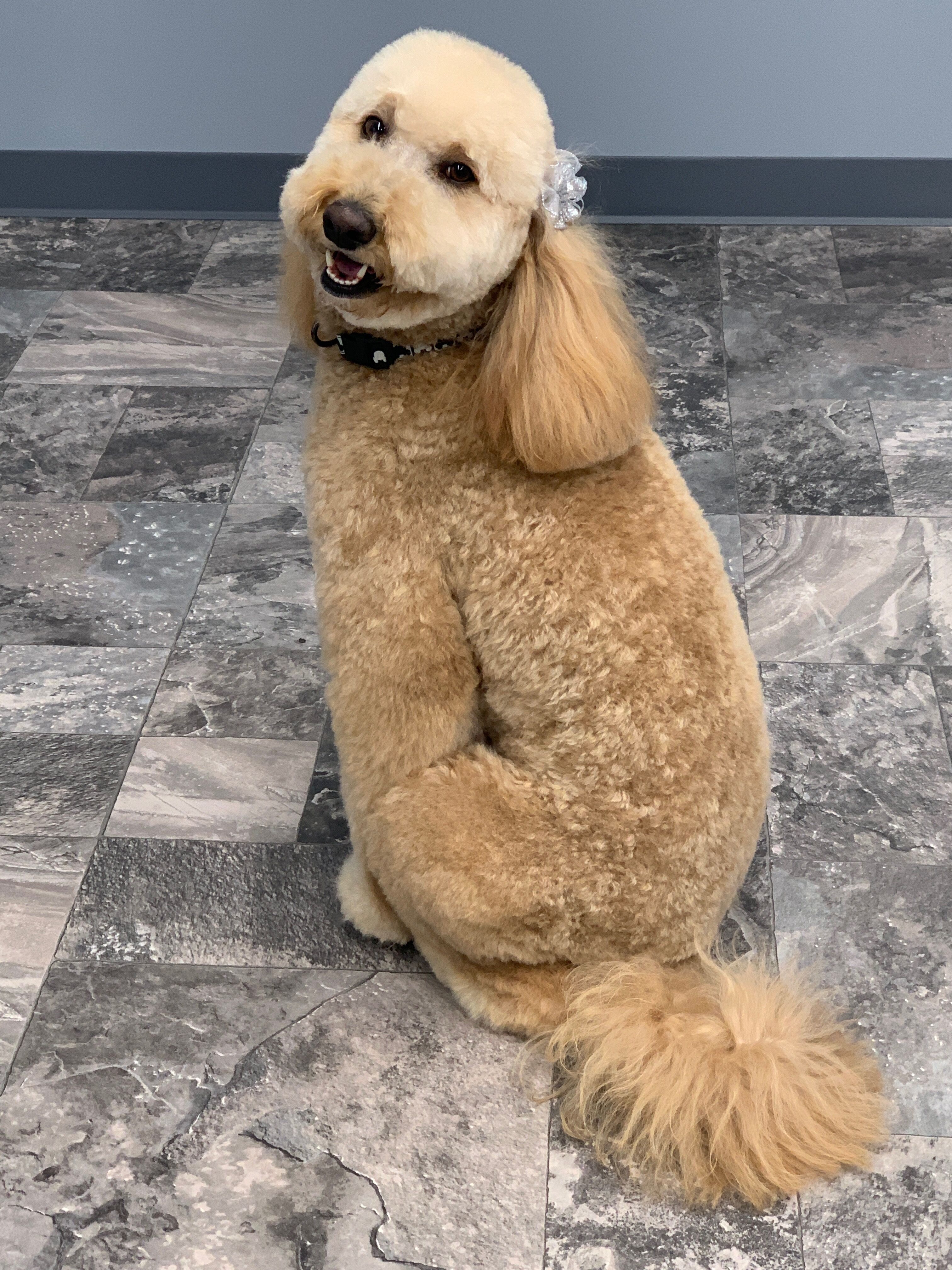 Deskins Motors Campbellsville Staff in Campbellsville, KY