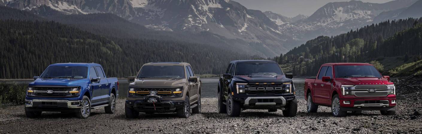 Used Ford F-150 for Sale near Edmonton