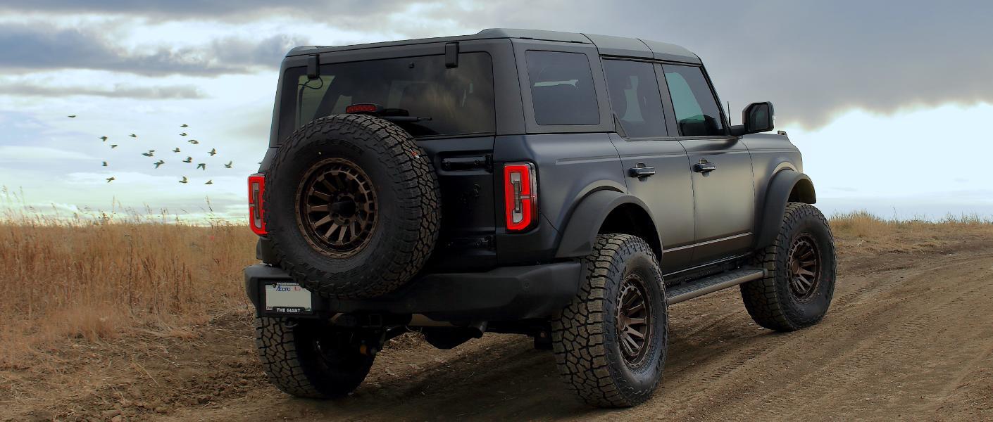 2021 Ford Bronco off-road with birds in background