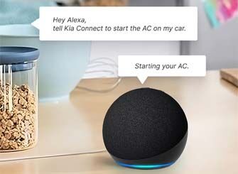 voice assistant