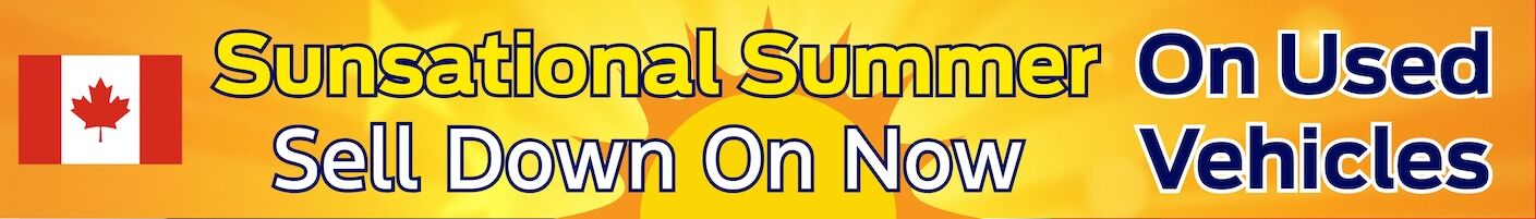 Sunsational Sell Down Used