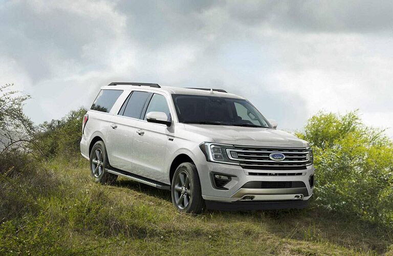 white 2020 Ford Expedition Limited on grass