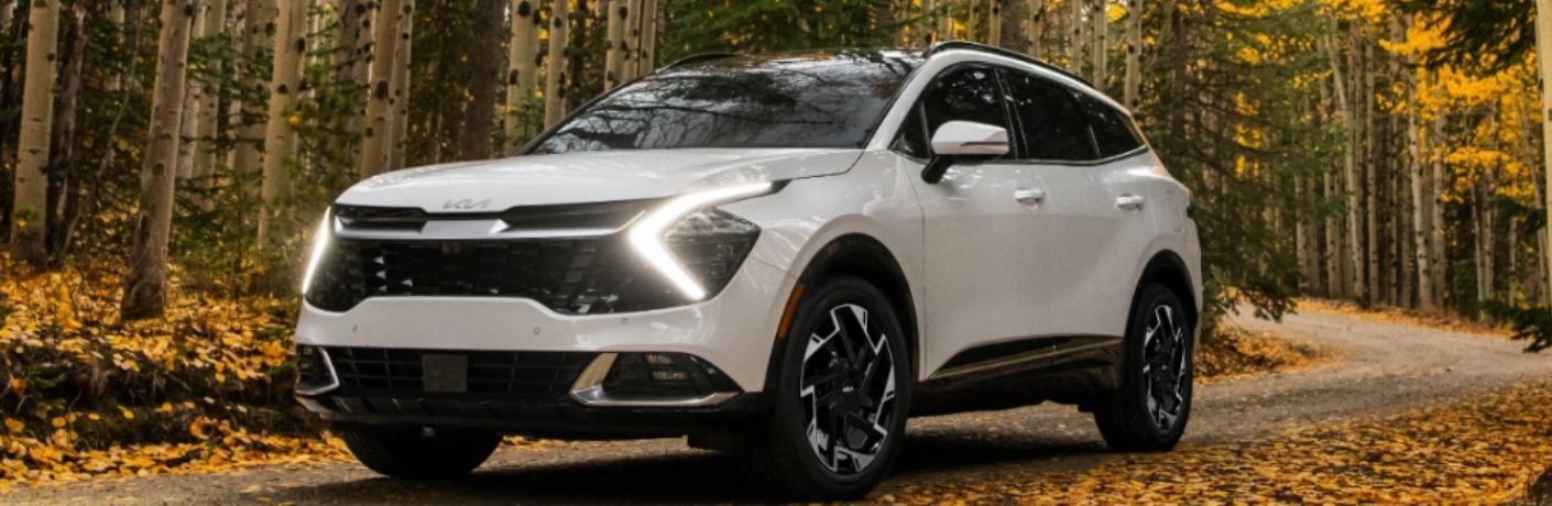 2024 Kia Sportage front and side view