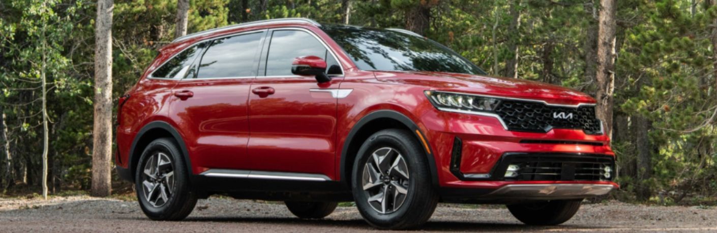 A 2023 Kia Sorento Hybrid under the shade of trees