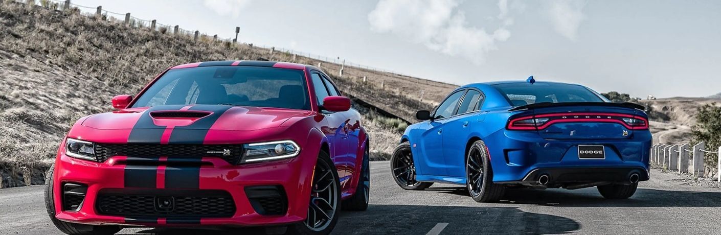 Dodge Charger cars parked together on a road