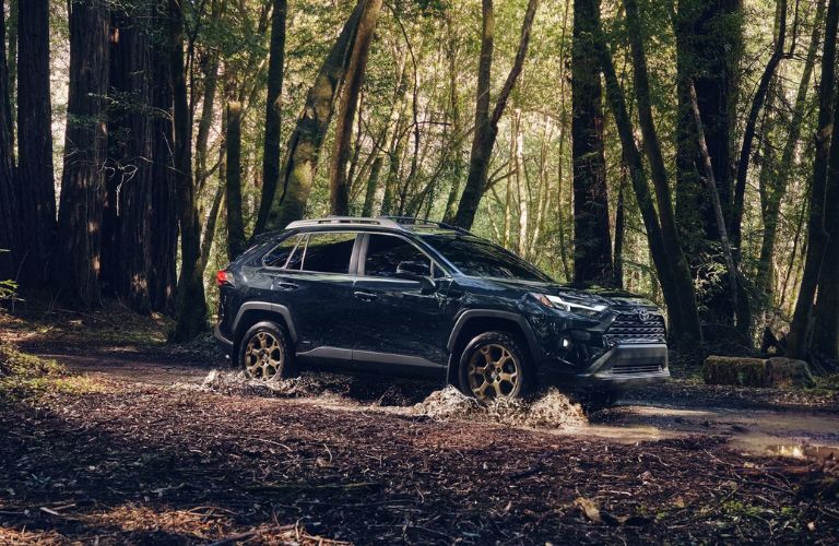 2025 Toyota RAV4 exterior front view