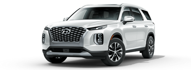 Wheelchair-Accessible Hyundai Palisade SEL