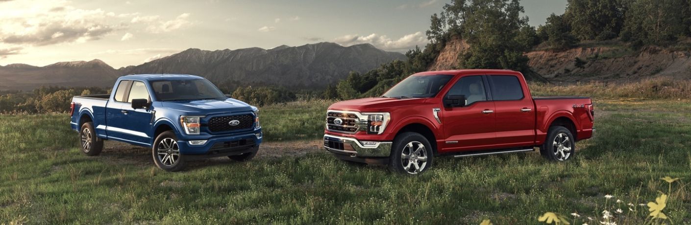 2022 Ford F150 in a field