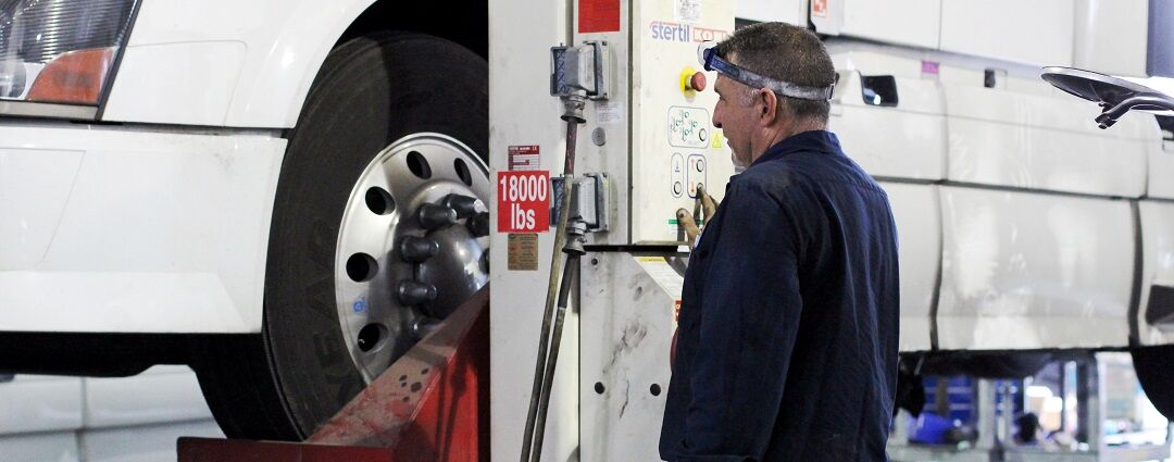 Find Your Match in Tampa FL