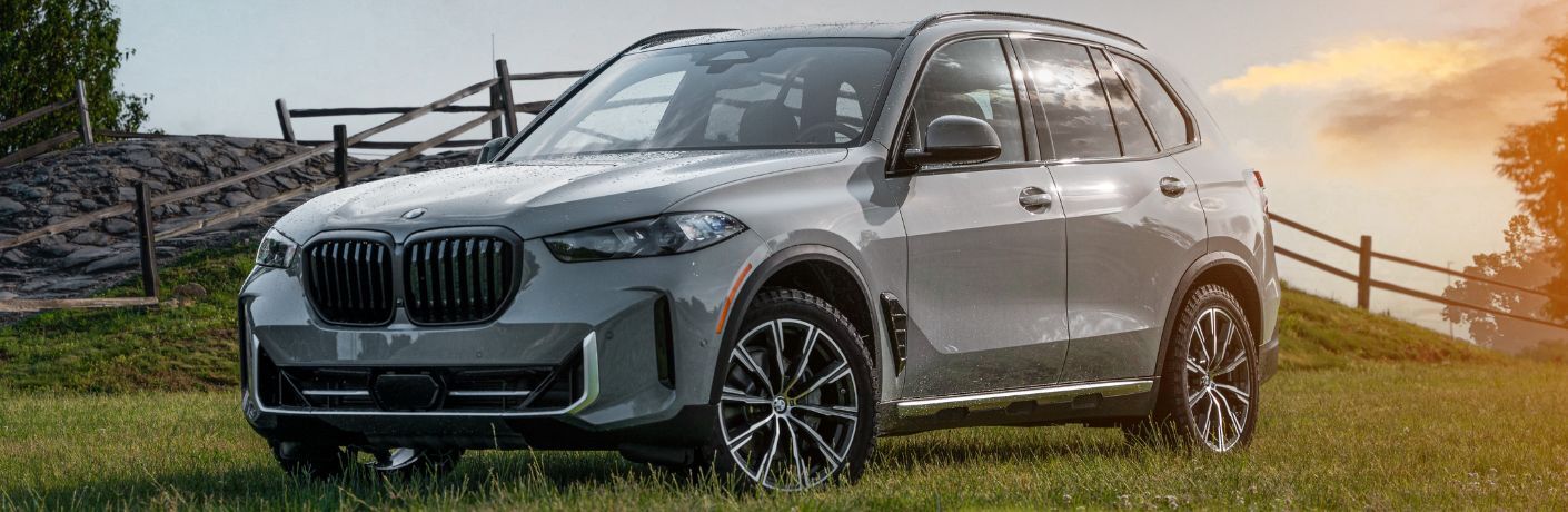 2025 BMW X5 exterior side view