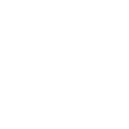 DealerFire Qualified Leads