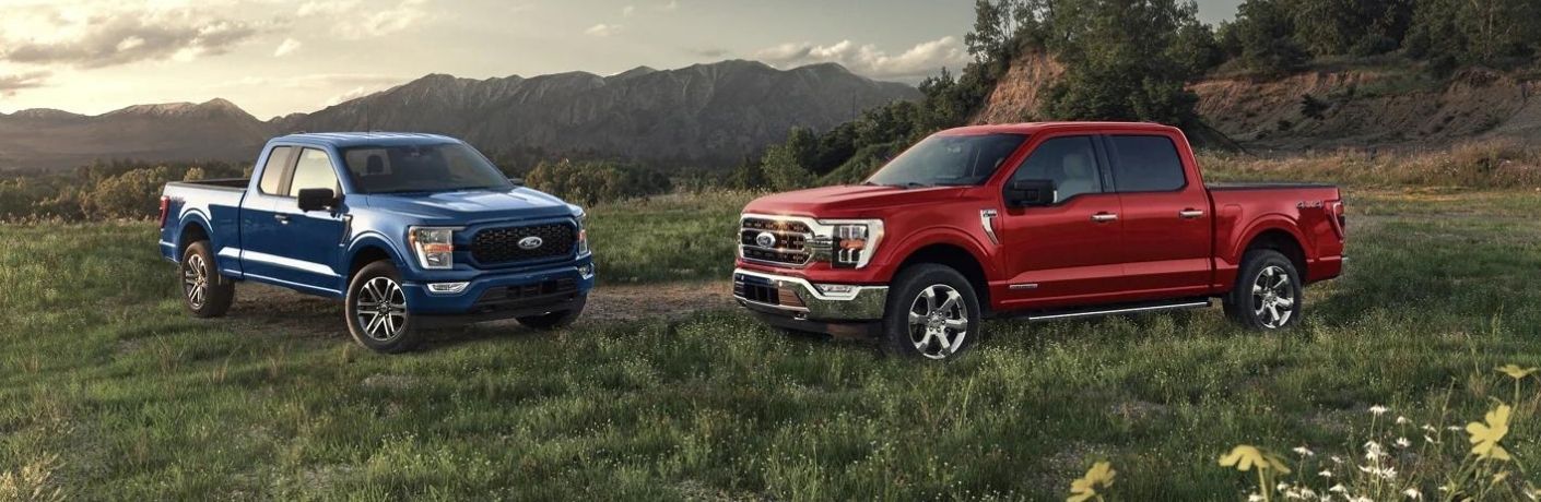 Two color variants of the 2022 Ford F-150 on a ranch