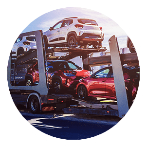 New Arrivals at Red Deer Motors