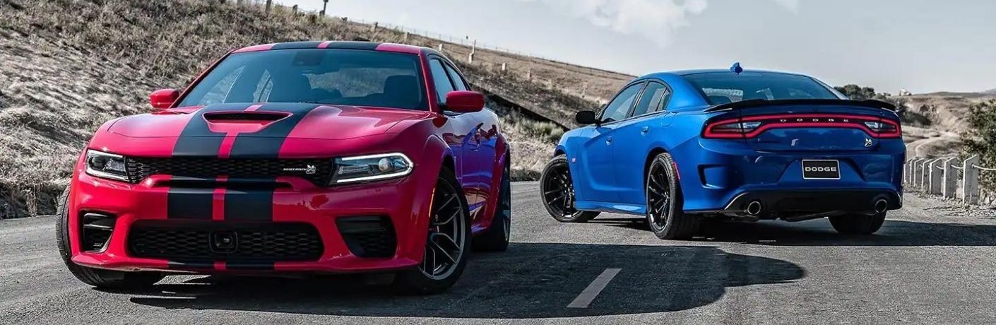 Two 2023 Dodge Charger models parked on a smooth road