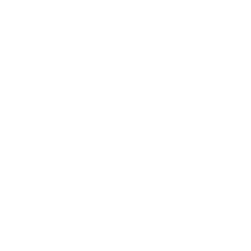 DealerFire Qualified Leads