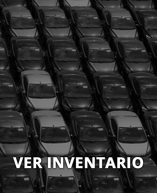 Ver inventario