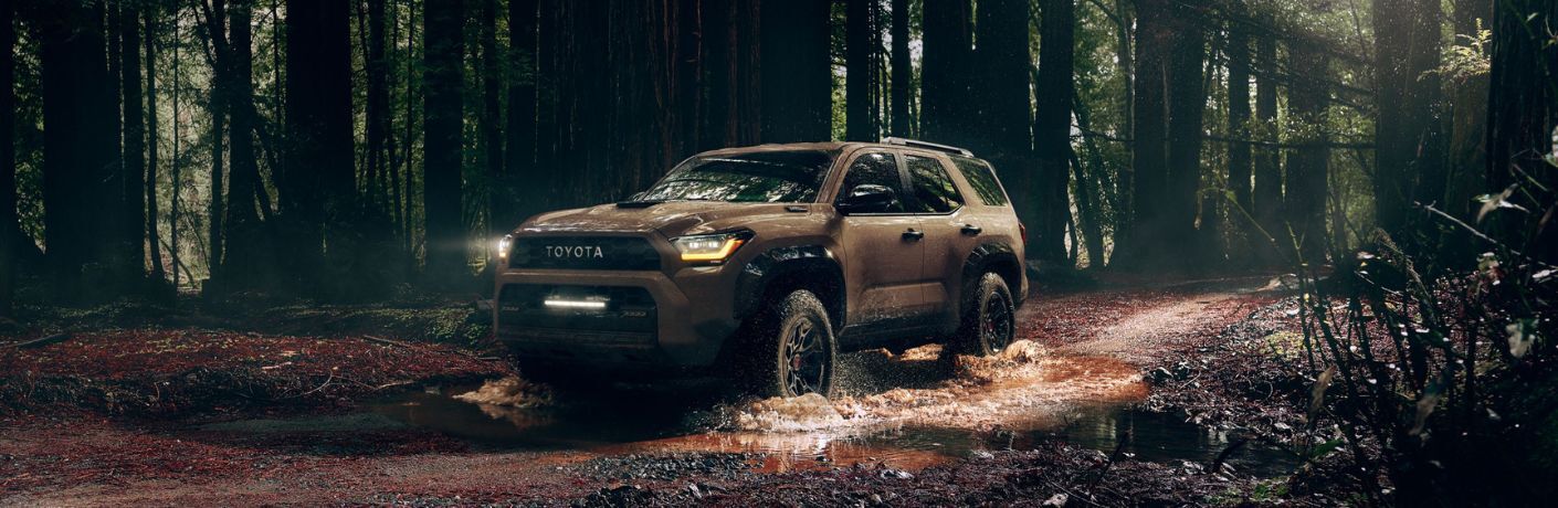 6th-Generation 2025 Toyota 4Runner in a swamp area inside a forest