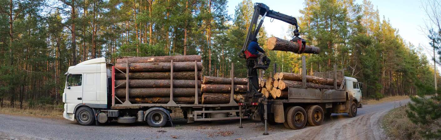 A grapple truck loading logs onto another truck.