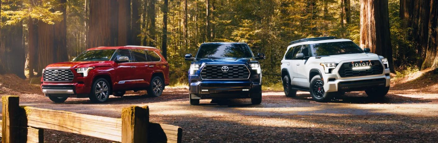 Three color variants of the 2023 Toyota Sequoia