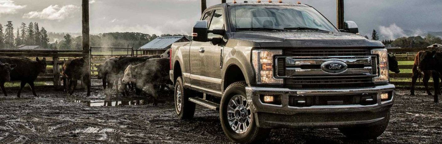 2019 Ford Super Duty F-350 XLT Edmonton AB