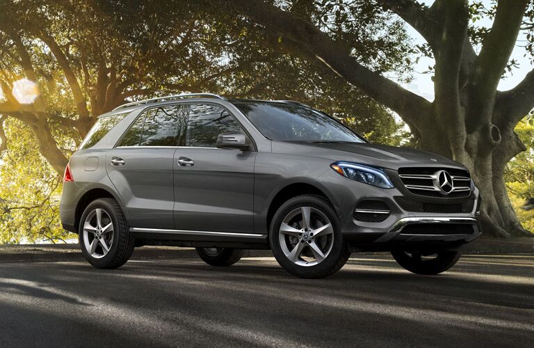 mercedes-benz gle suv near a forest
