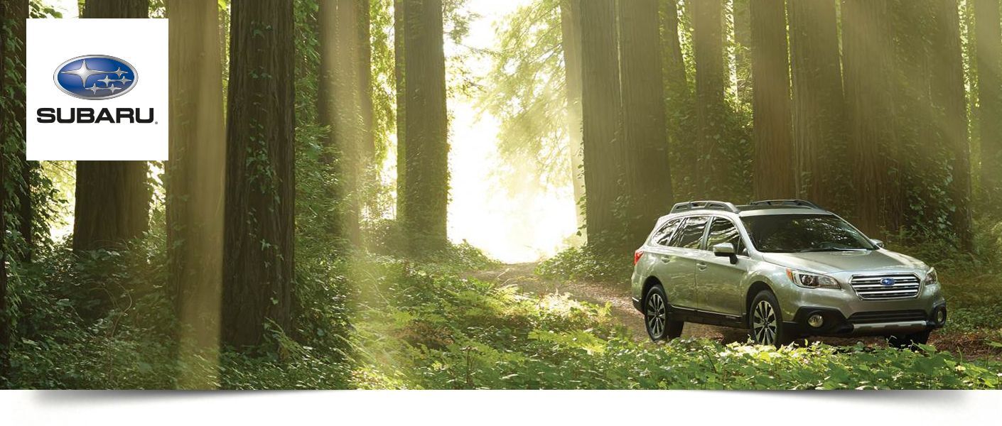 Used Subaru Outback Victor, NY