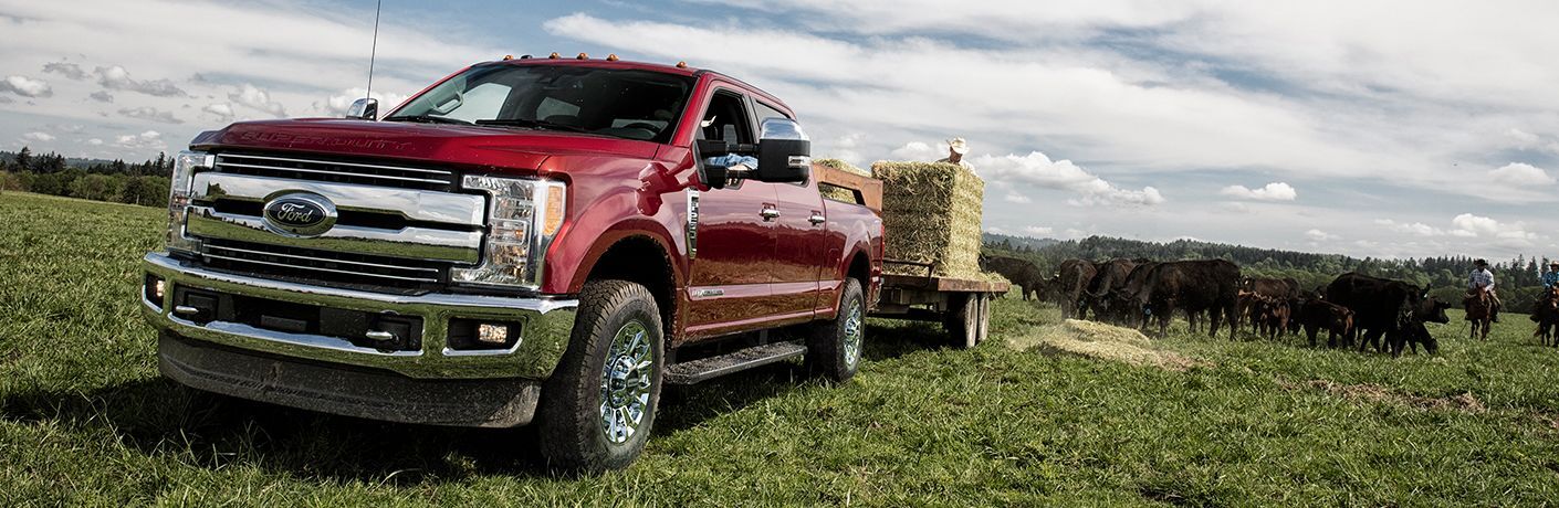 2019 Ford F-250 Super Duty Edmonton AB