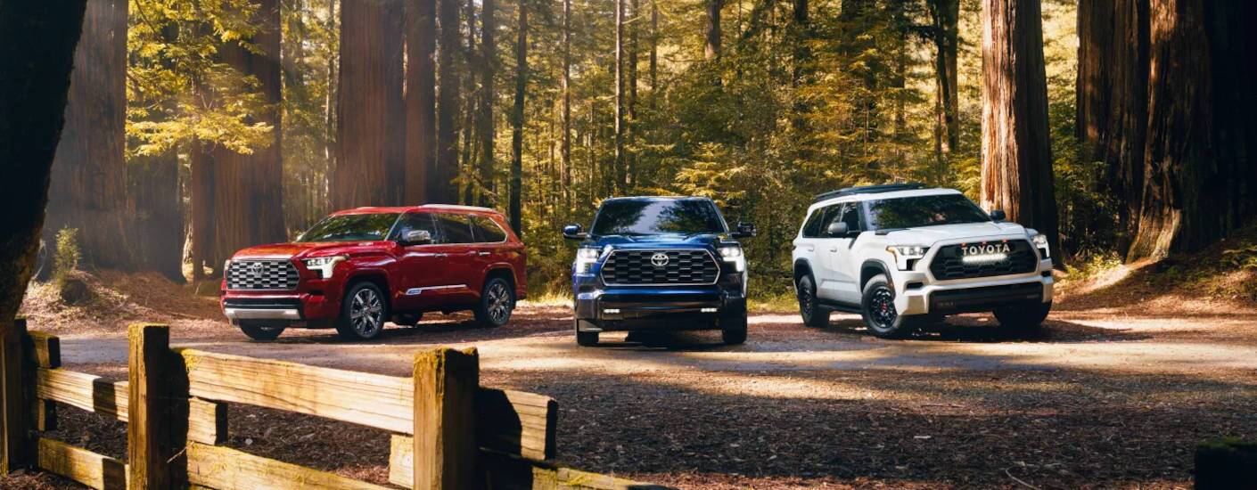 The 2026 Toyota Sequoia near Vacaville
