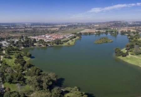 Wheelchair-Accessible Vehicles Sales in El Monte, CA