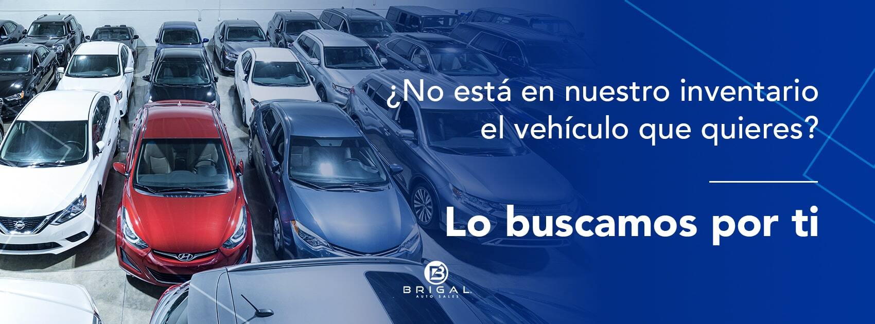 Lo buscamos