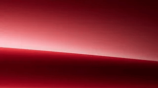 MANUFAKTUR Patagonia Red metallic $1,750