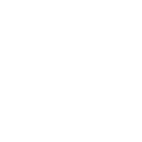 DealerFire Qualified Leads