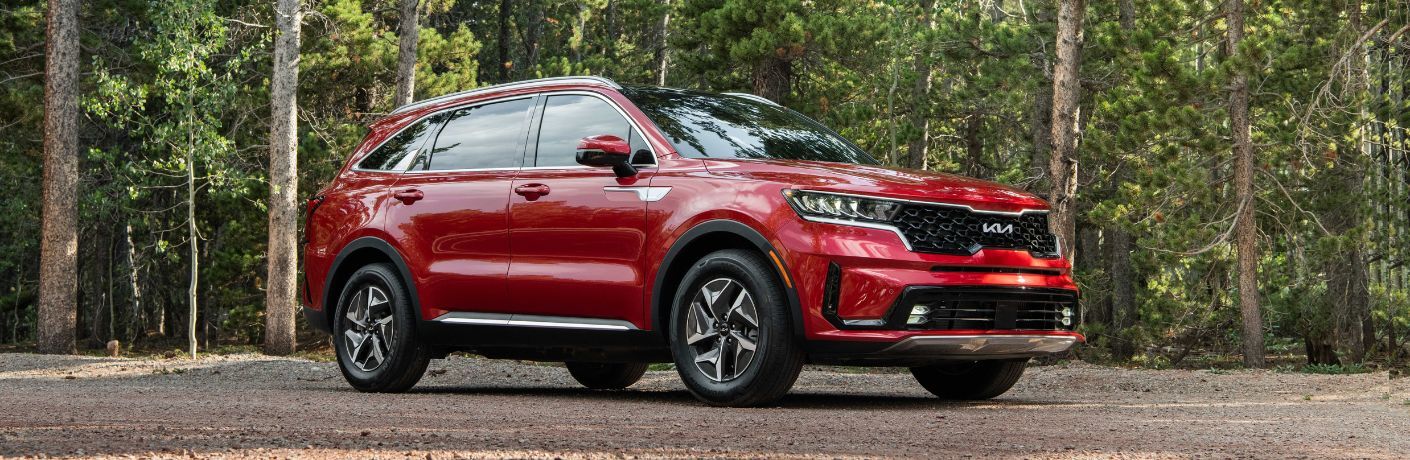 2024 Kia Sorento Hybrid Parked near the woods