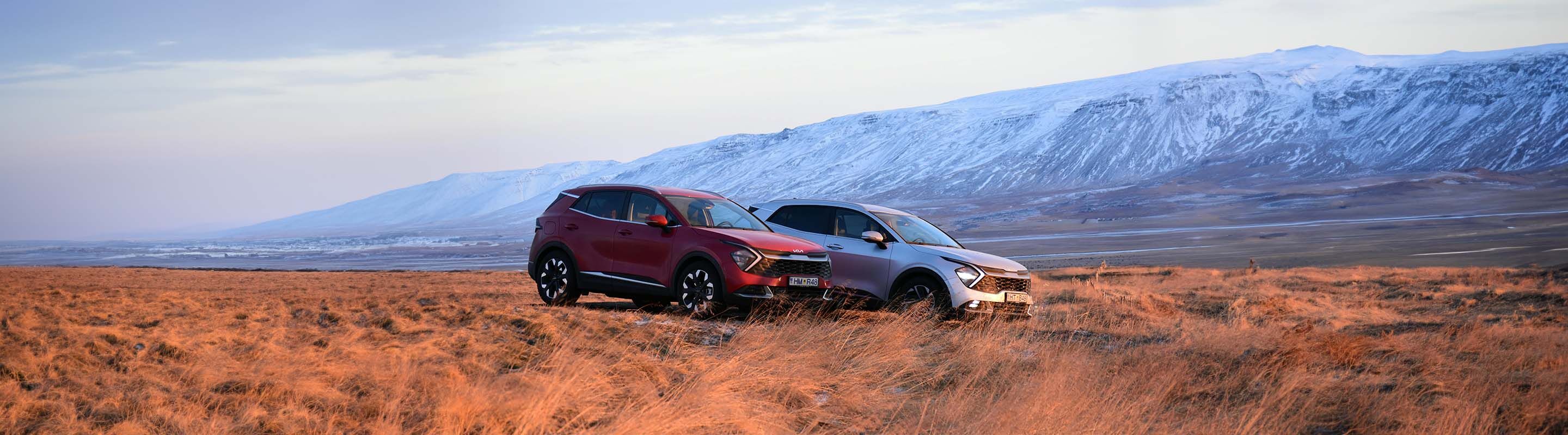 Car Dealership in Elmhurst, IL