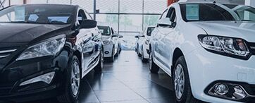 Find Your Match in Las Vegas NV